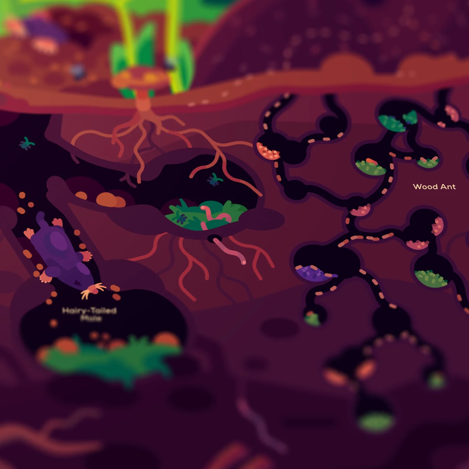 The Forest Poster - Image 5