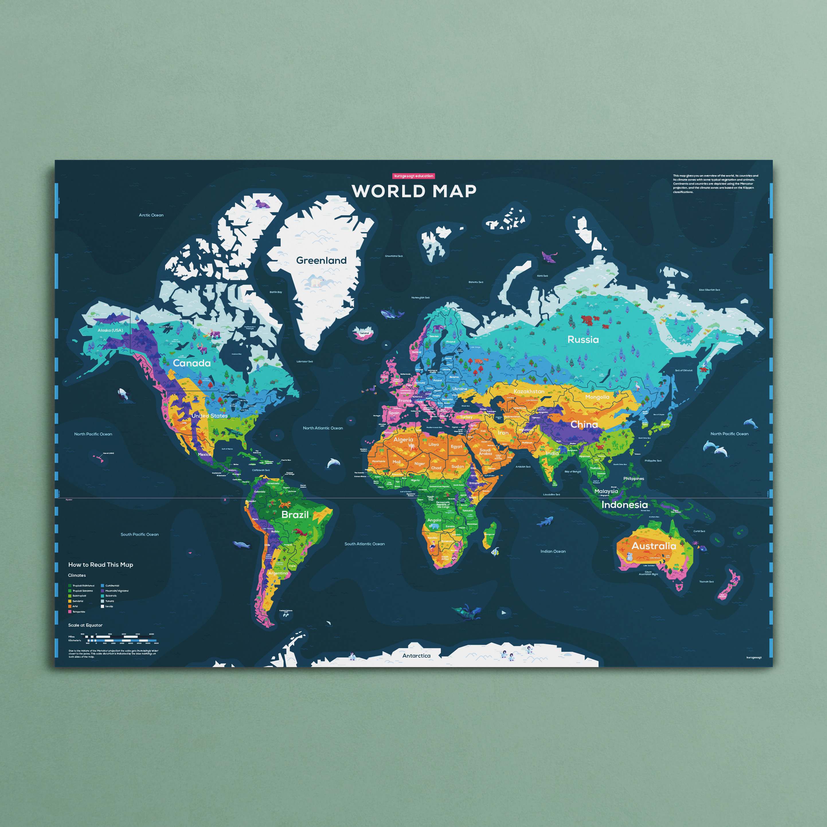 Education Edition Poster Bundle - Image 3